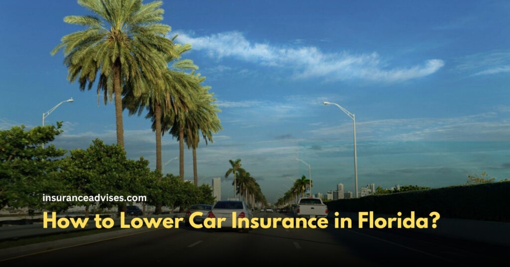 How to Lower Car Insurance in Florida: