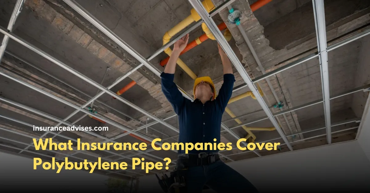 What Insurance Companies Cover Polybutylene Pipe